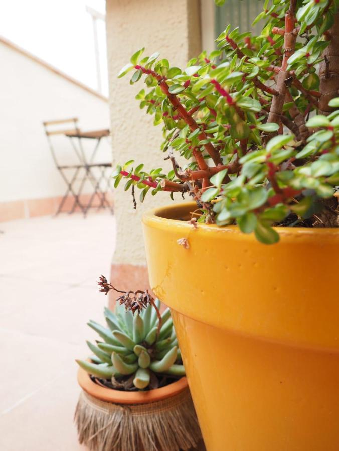 Apartaments La Rambla - Arbequina - 6 Persones Cornudella de Montsant Exterior photo